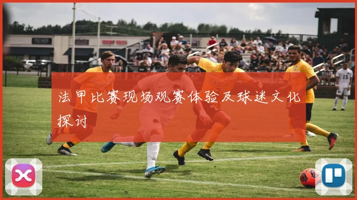 法甲比赛现场观赛体验及球迷文化探讨