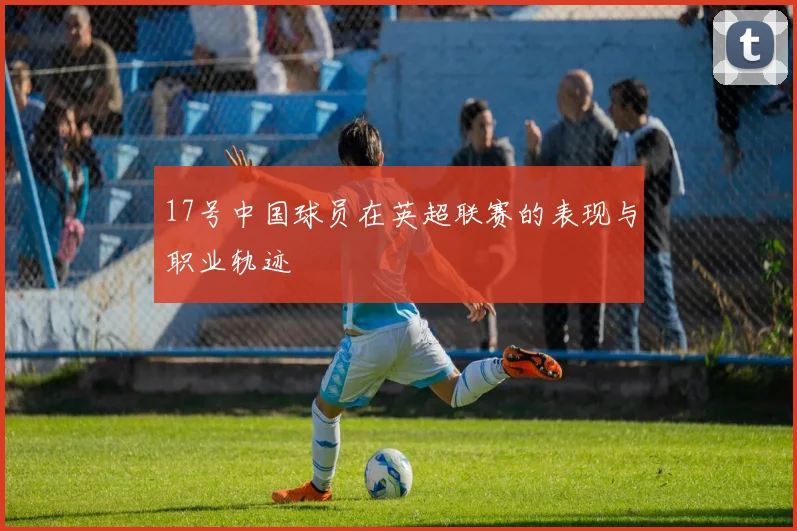 17号中国球员在英超联赛的表现与职业轨迹