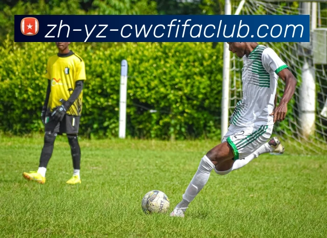 火箭队与太阳队比赛录像的完整回放