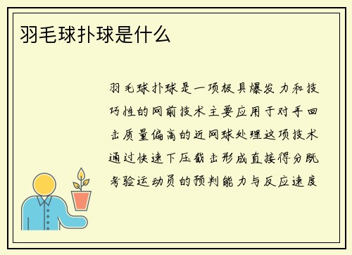 羽毛球扑球是什么
