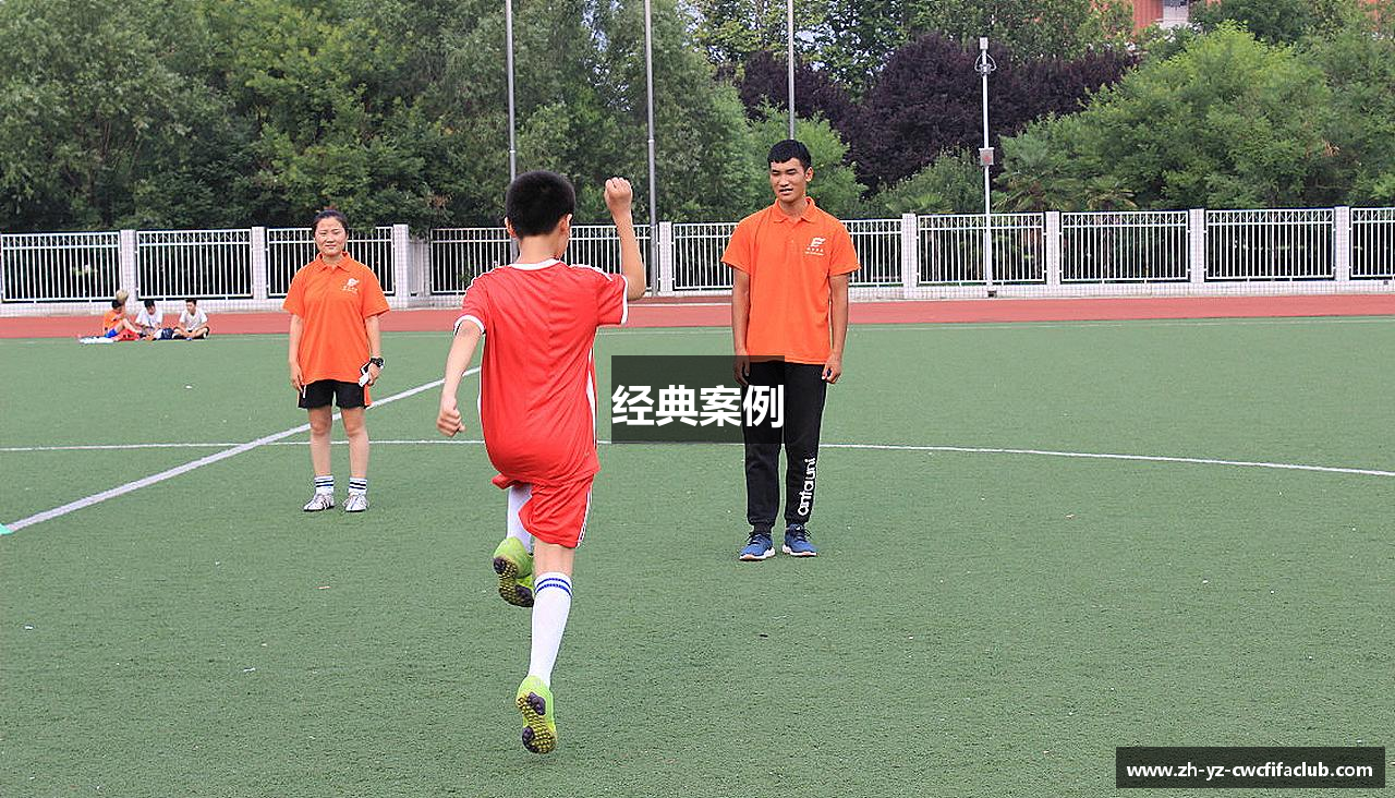 经典案例